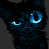 NightCat