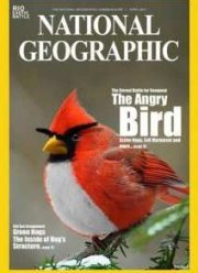 Реальные Злые птицы (2014)