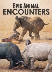 ����������� ������� � ��������� (2019)