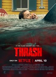 ������ ����� (2026)