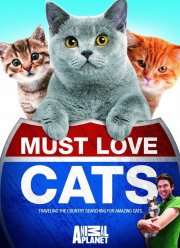 ����� �� ������ ������ (1-2 �����)