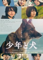 ������� � ������ (2025)