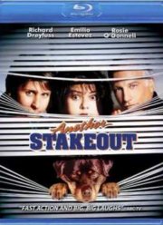 Слежка 2: Снова в засаде (1992)