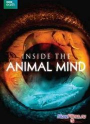 BBC. �������� ��������� (2014)