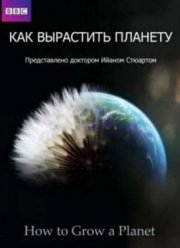 ��� ��������� ������� (������ 2012)