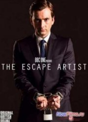 ������ ������ (1 �����) (2013)