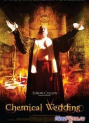 Химическая свадьба (2008)