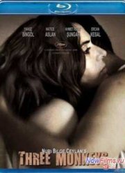 ��� �������� (2008)