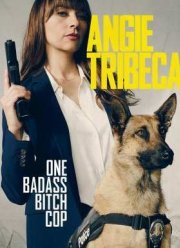 Энджи Трайбека (2019) 1-4 сезон