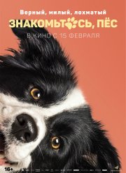 �����������, �� (2022)