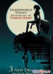 ������ ���. ����������� ����� (2011)