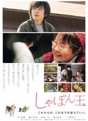 ������� ������ (2017)