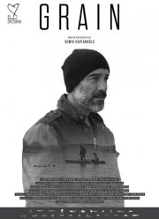 ����� (2017)