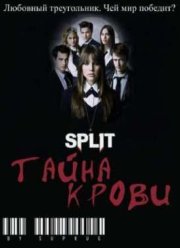 Сплит: Тайна крови (2009-2011) 1,2 Сезон
