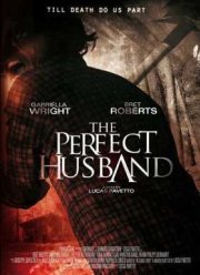 Идеальный муж (2014)