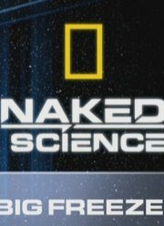 Большой холод (2009)