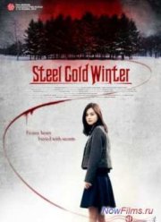 Обжигающий холод зимы / Зима холодной стали (2013)
