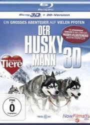 Смотреть Человек хаски (2011)