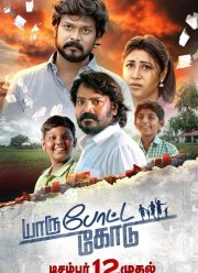 ����� ������� (2025)