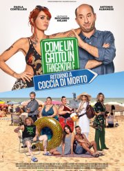 ����� ���������� � ���. ����� ����������� (2021)