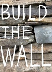 Построить стену (2020)