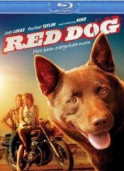 ����� ��� (2011)