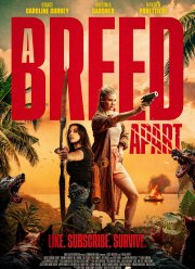 ������ ������ (2025)