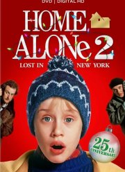 Один дома 2: Затерянный в Нью-Йорке (1992)