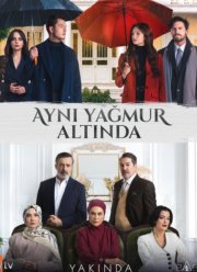 ��� ����� ������ (2026)