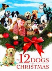 12 �������������� �����  (2005)