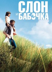 Слон и бабочка (2017)