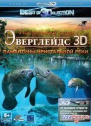 Эверглейдс 3D: Ламантины Кристальной реки (2012)