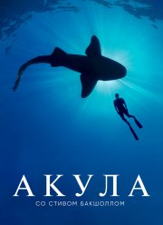 ����� �� ������ ��������� (2021)