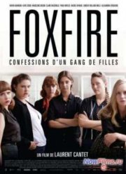 Фоксфайр, признание банды девушек (2012)