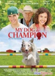 Чемпион (2013)