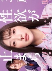 ��� ������� ����� ���� (2025)