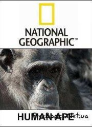 National Geographic: Умнее обезьяны...? (2008)