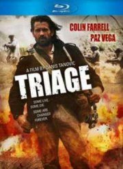 ���������� (2009)