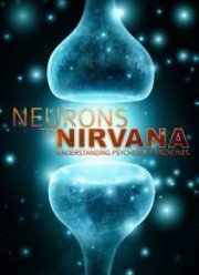 �� �������� � �������. ����������� ���������� ������������ (2013)