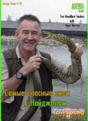 Самые опасные змеи с Найджелом Марвином (2014)