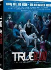 Настоящая кровь (Сезон 3)  2010