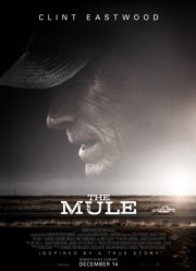 ����������� (2018)