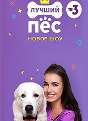 Лучший пёс	(2020)