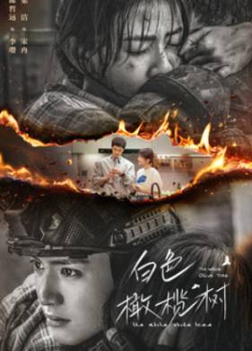 ����� ��������� ������ (2025)