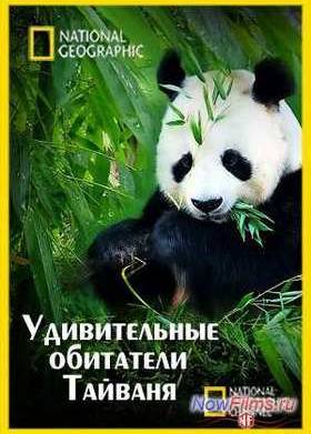 Смотреть Удивительные обитатели Тайваня (2011)