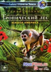 Тайны планеты Земля. Удивительный тропический лес: Южная Америка (2012)