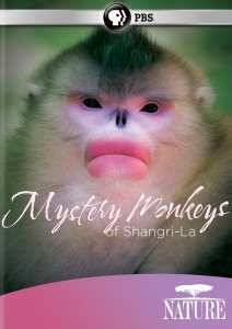 ���������� �������� ������-�� (2015)