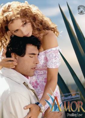 Чистая любовь (2007)