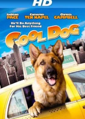 ������������ ��� (2010)