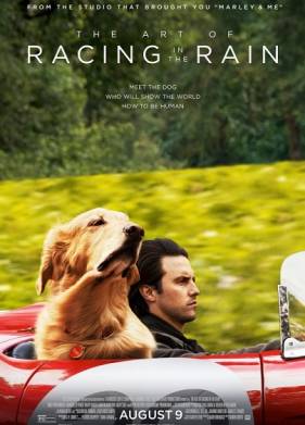 Невероятный мир глазами Энцо (2019)